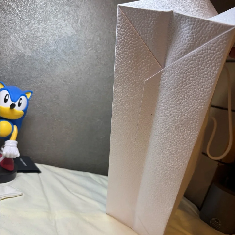 Dior gift bag